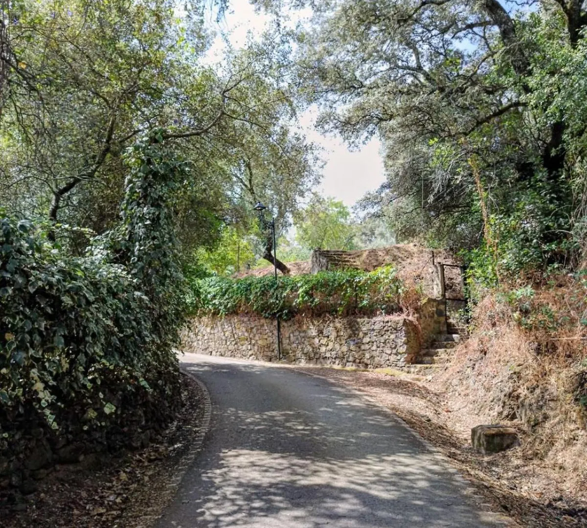 Casa Rural El Olivo Aracena