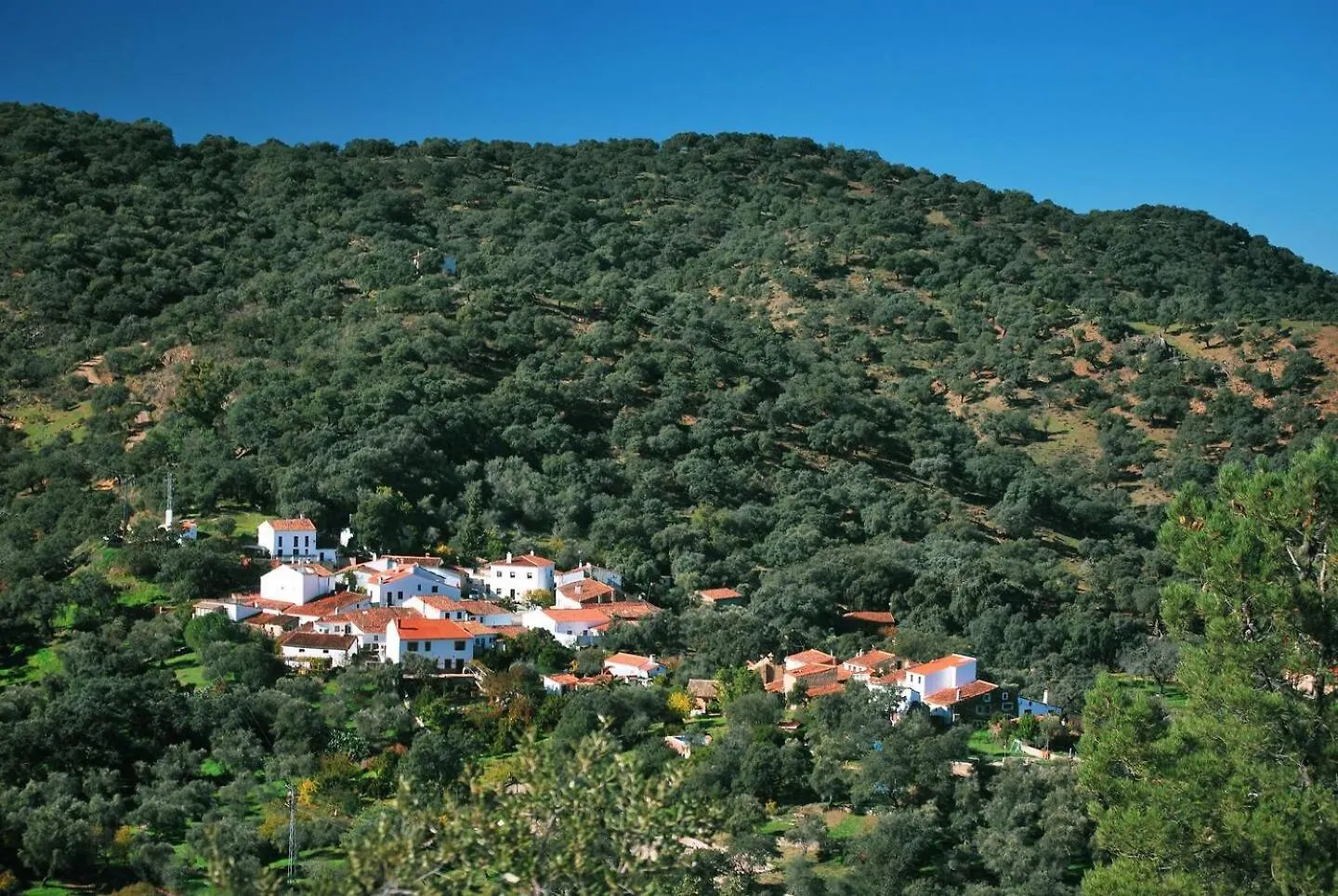 Casa Rural El Olivo Aracena Spain
